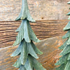 Evergreen Trees - Set of Three available at Quilted Cabin Home Decor.