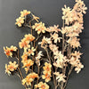 Two artificial flowering branches with peach, orange, and cream blossoms on brown stems, displayed against a dark gray background.  Available on line at quilted cabin or at Rustic Ranch furniture in Airdrie