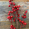 Red Ash Berry Branch available at Quilted Cabin Home Decor.