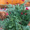 Green foliage with red berries and a pine cone on a wooden surface. Berry and Cedar Dripping Floral Orbs - Two Styles available at Quilted Cabin Home Decor.