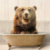 Bathtime Bear Picture available at Quilted Cabin Home Decor.