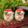 Two Santa Claus salt and pepper shakers on a textured surface with greenery in the background. Happy Santa Salt & Pepper Shakers available at Quilted Cabin Home Decor.