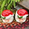 Two Santa Claus-themed salt and pepper shakers on a textured surface with greenery in the background. Happy Santa Salt & Pepper Shakers available at Quilted Cabin Home Decor.