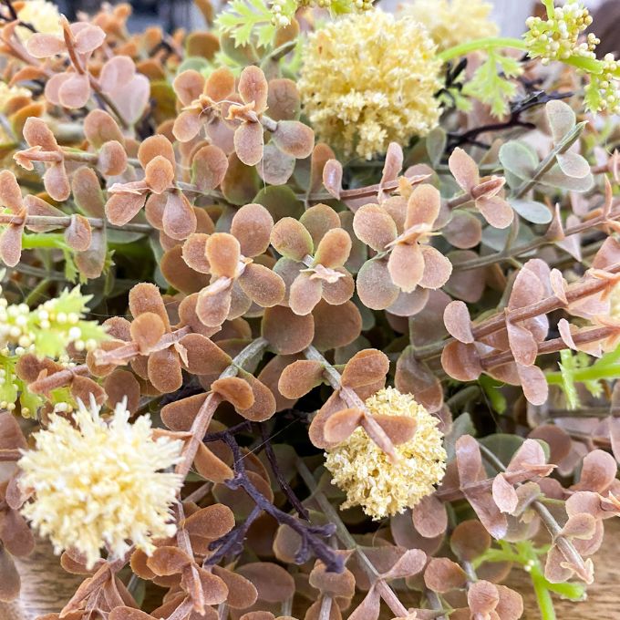 Close-up of a plant with brown and yellow flowers. Cream Pincushion Half Floral Sphere available at Quilted Cabin Home Decor.