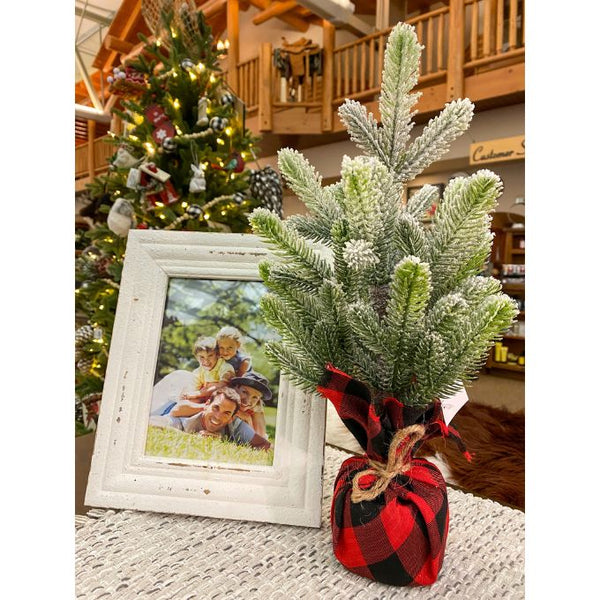 Pine Tree with Red & Black Buffalo Plaid Base available at Quilted Cabin Home Decor.