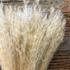 Natural Whisk Grass Bunch available at Quilted Cabin Home Decor.