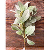  An artificial spray of lambs ear and eucalyptus leaves in two tones of green. Available at Quilted Cabin Home Decor.