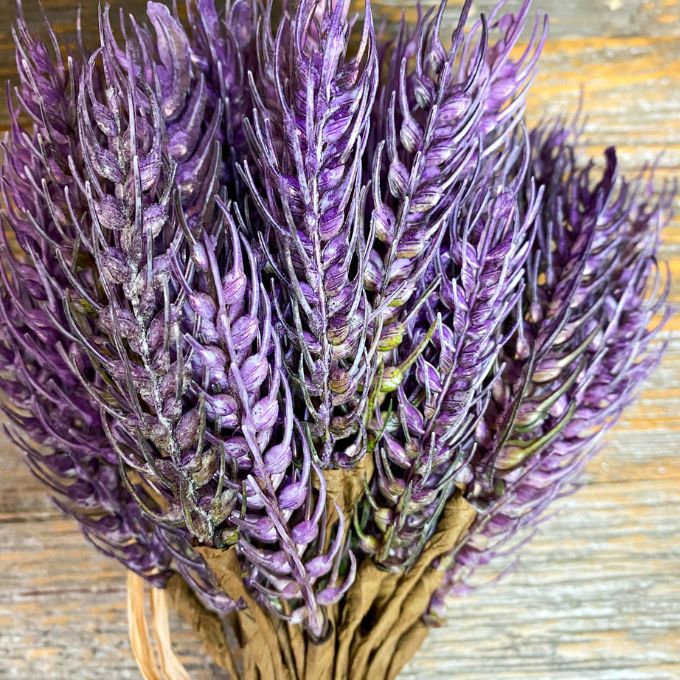 Purple Wheat Bunch available at Quilted Cabin Home Decor.