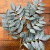 Artificial green leaf branch on a wooden surface. Dark Green Wisteria  Leaf Spray available at Quilted Cabin Home Decor.