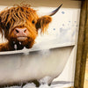 Highland Cow in a Bathtub Framed Print available at Quilted Cabin Home Decor