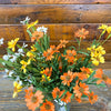 Mini Mountain Daisy Spray - Three Colours available at Quilted Cabin Home Decor.