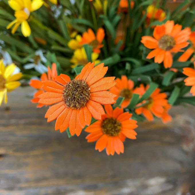 Mini Mountain Daisy Spray - Three Colours available at Quilted Cabin Home Decor.