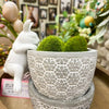 Decorative pot with textured design and green plants, featuring a white rabbit figurine. Porcelain Bunny Pot Hanger available at Quilted Cabin Home Decor.