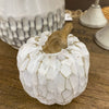 Decorative white pumpkin  on a wooden surface, the White Carved Pumpkins - Two Styles available at Quilted Cabin Home Decor.
