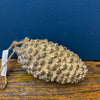 Golden Pinecone Ornament available at Quilted Cabin Home Decor.