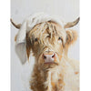 Painting of a highland cow with long hair and horns on a textured white background. Just Washed Block Art available at Quilted Cabin Home Decor.