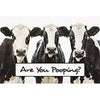 Four holstein cows with a text overlay 'Are You Pooping?' on a white background. Bathroom Patrol Block Sign available at Quilted Cabin Home Decor.