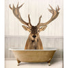 Bathtime Deer Picture available at Quilted Cabin Home Decor.