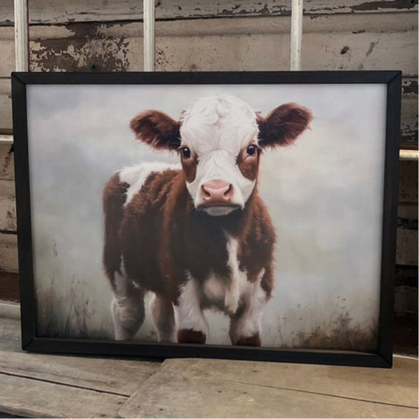 Framed picture of a brown and white calf on a rustic wooden surface. The Calf Portrait Box Frame Art is available at Quilted Cabin Home Decor.