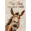 Cartoon donkey block sign with text 'Nice Arse YOU HAVE THERE' on a beige background. Complimentary JackAss Wood Block Sign available at Quilted Cabin Home Decor.