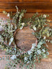 A succulent wreath that is flocked to look like snow has just fallen. It is green and made of different kinds of succulents. 