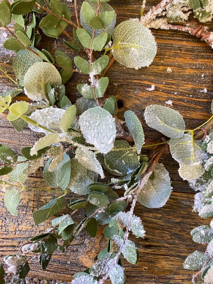 A succulent wreath that is flocked to look like snow has just fallen. It is green and made of different kinds of succulents. 