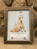  This blue toned background print of a brown horse being showered with pink and white petals in a white vintage claw foot tub is framed with a brown distressed wood frame.