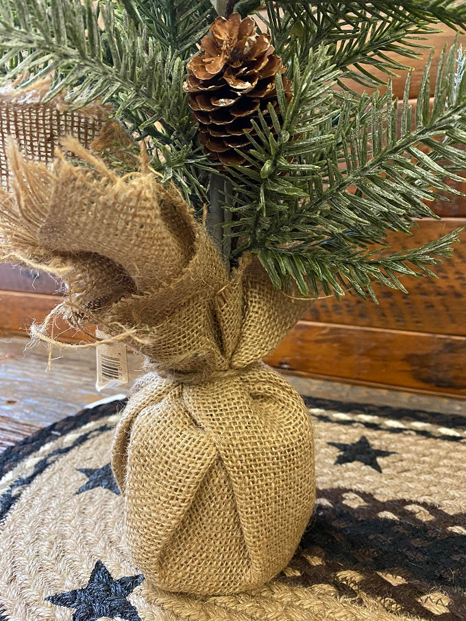 The Spruce and Cone Trees are thick faux Spruce with multiple pine cones.  The trees are very lightly frosted so you can use them all winter long! Each tree has a weighted burlap base so it won't tip over. There are two sizes, 18" and 24".