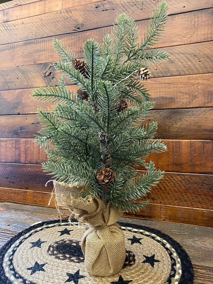 The Spruce and Cone Trees are thick faux Spruce with multiple pine cones.  The trees are very lightly frosted so you can use them all winter long! Each tree has a weighted burlap base so it won't tip over. This size is 24" tall.