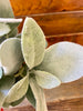 Flocked Rabbit's Ear Leaves Spray available at Quilted Cabin Home Decor