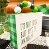 Kiss Me Anyway Block Sign available at Quilted Cabin Home Decor